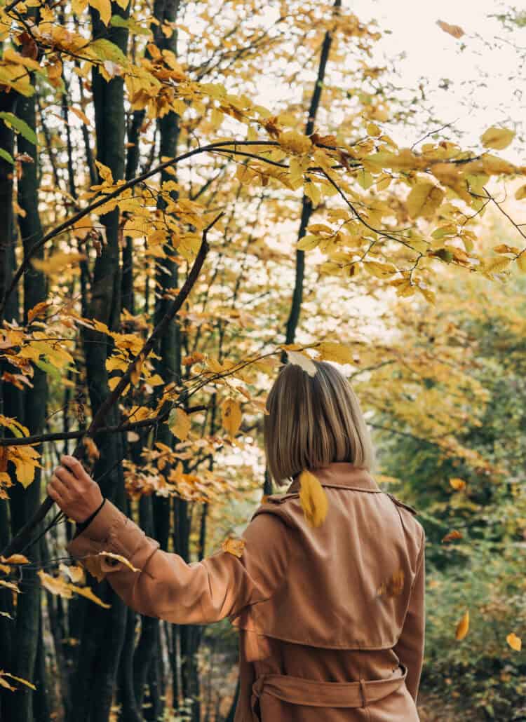 Great Grounding Techniques: 5 Senses Mindfulness Worksheet