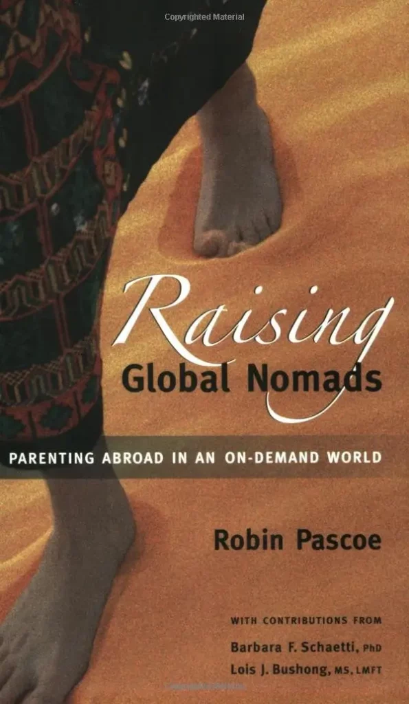 third culture kids book summary