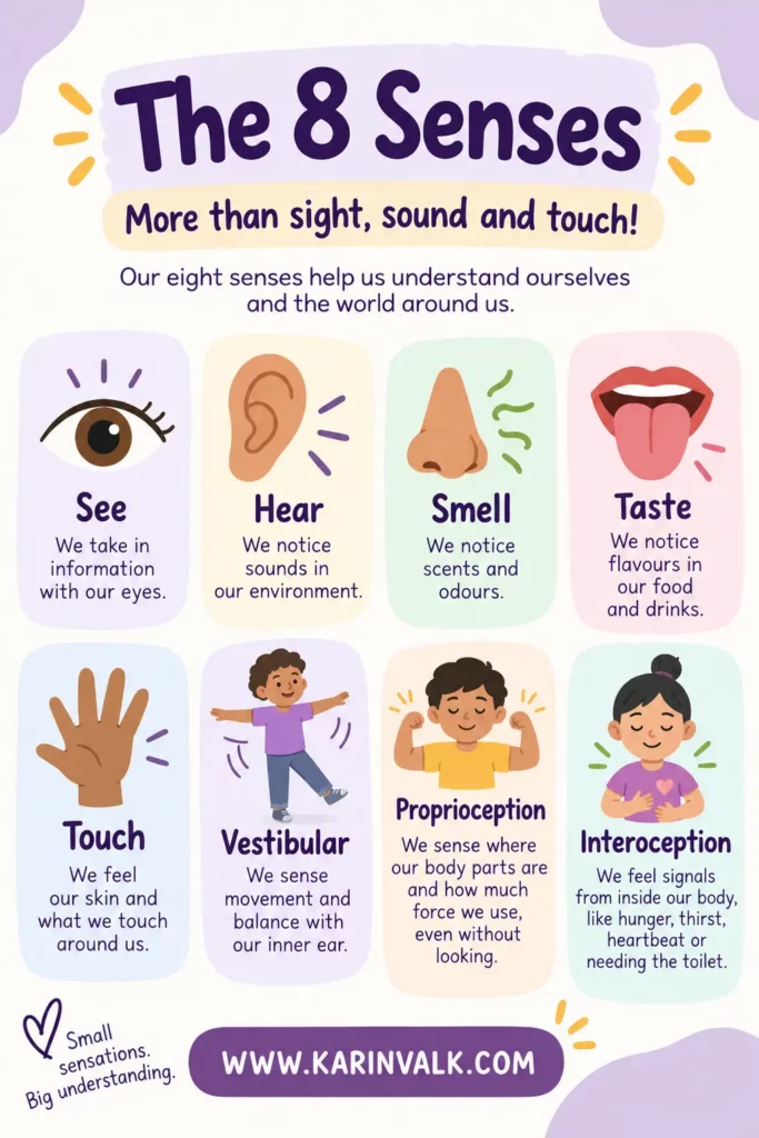 8 sensory systems