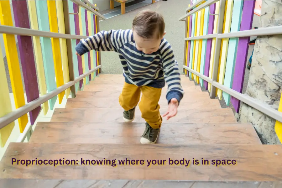 difference between interoception and proprioception