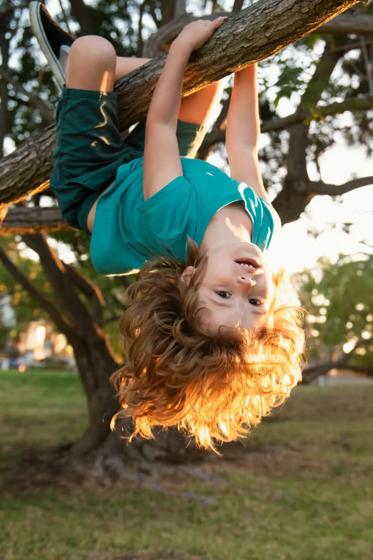 vestibular input