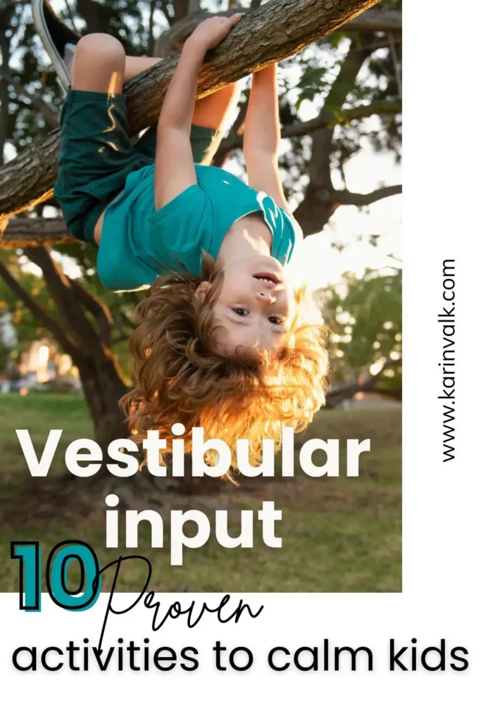 vestibular system activities
